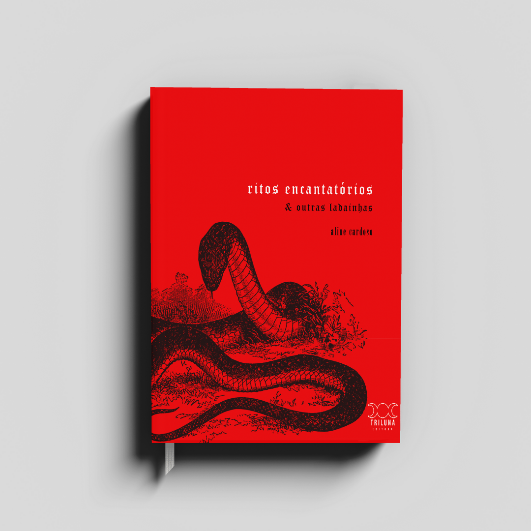 Cópia de Cópia de Cópia de Sem nome (7).png